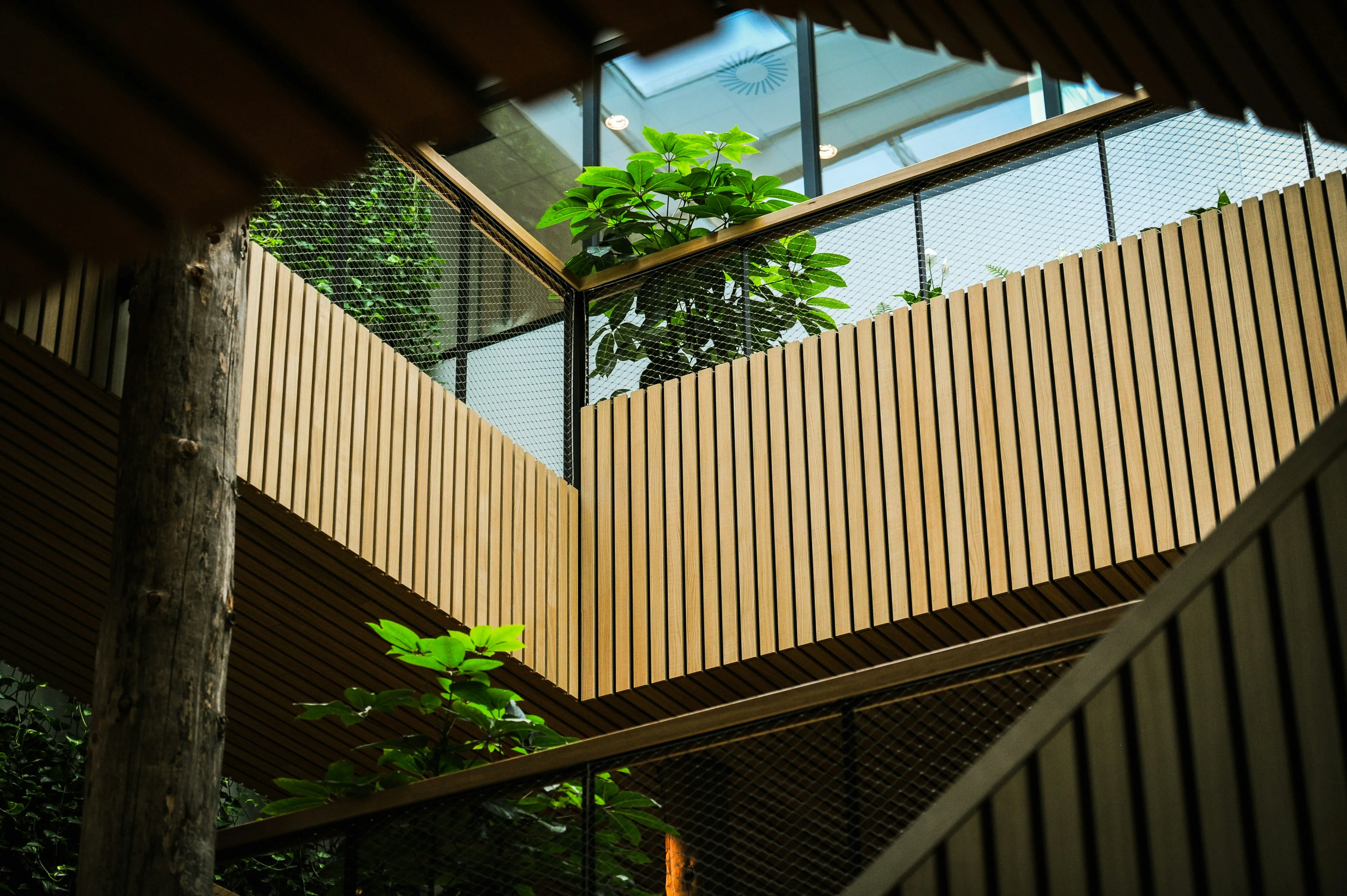 Staircase Building Tree - Photo by <a href="https://unsplash.com/@danielstiel?utm_content=creditCopyText&utm_medium=referral&utm_source=unsplash">Daniel Stiel</a> on <a href="https://unsplash.com/photos/a-staircase-leading-up-to-a-building-with-a-tree-growing-out-of-it-qnuCCUwtZ84?utm_content=creditCopyText&utm_medium=referral&utm_source=unsplash">Unsplash</a>